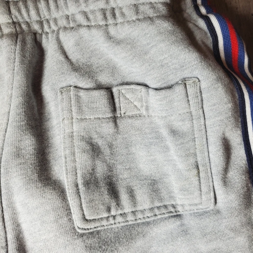 Gymboree Gray Fleece-lined Jogger Sweatpants Boys Size 4T